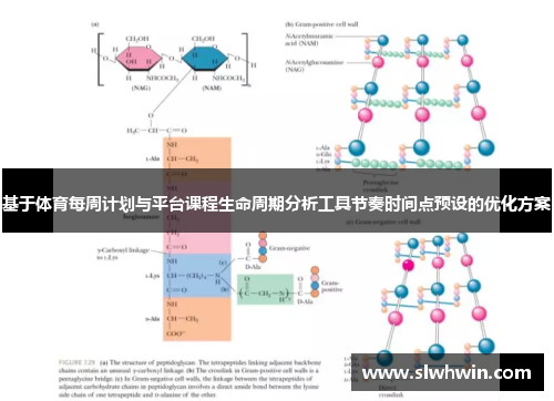 基于体育每周计划与平台课程生命周期分析工具节奏时间点预设的优化方案